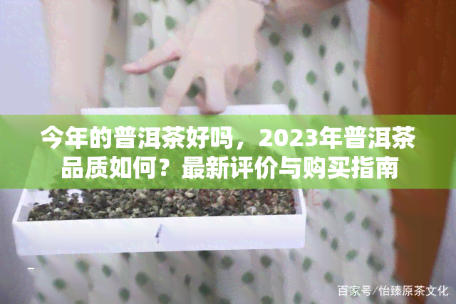 今年的普洱茶好吗，2023年普洱茶品质如何？最新评价与购买指南