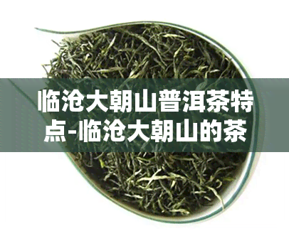 临沧大朝山普洱茶特点-临沧大朝山的茶怎么样