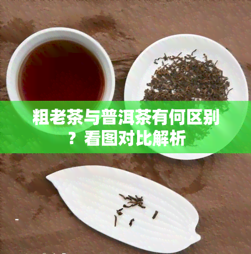 粗老茶与普洱茶有何区别？看图对比解析