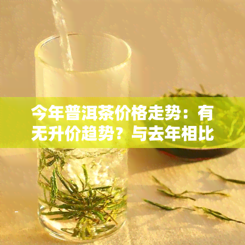 今年普洱茶价格走势：有无升价趋势？与去年相比如何？最新行情及是否涨价？多少钱一斤？