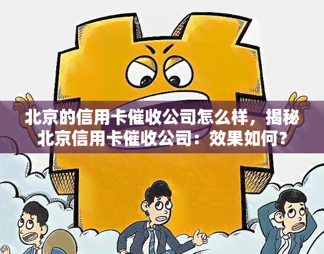 北京的信用卡公司怎么样，揭秘北京信用卡公司：效果如何？