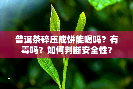 普洱茶碎压成饼能喝吗？有吗？如何判断安全性？