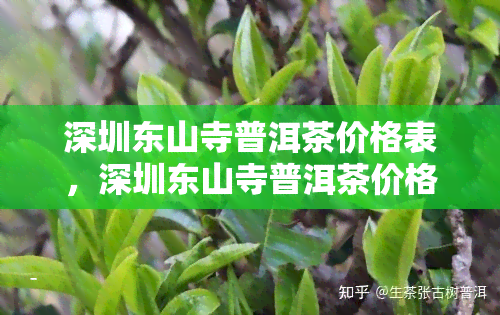 深圳东山寺普洱茶价格表，深圳东山寺普洱茶价格一览表，了解最新市场价格！