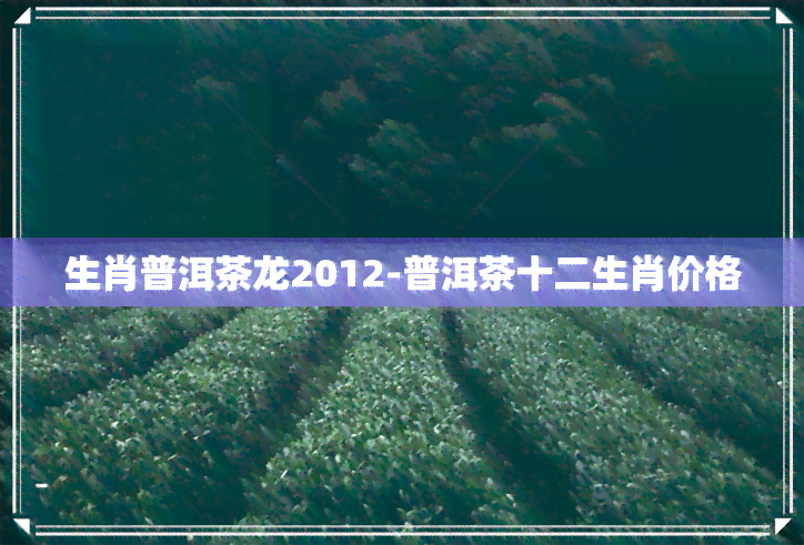 生肖普洱茶龙2012-普洱茶十二生肖价格