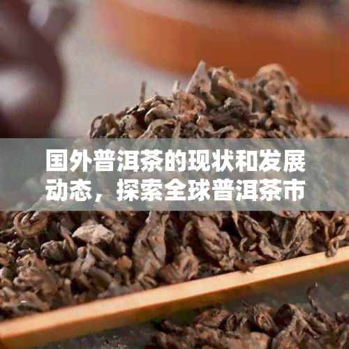 国外普洱茶的现状和发展动态，探索全球普洱茶市场：现状与发展趋势