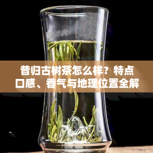 昔归古树茶怎么样？特点口感、香气与地理位置全解析，附价格及冲泡方法！