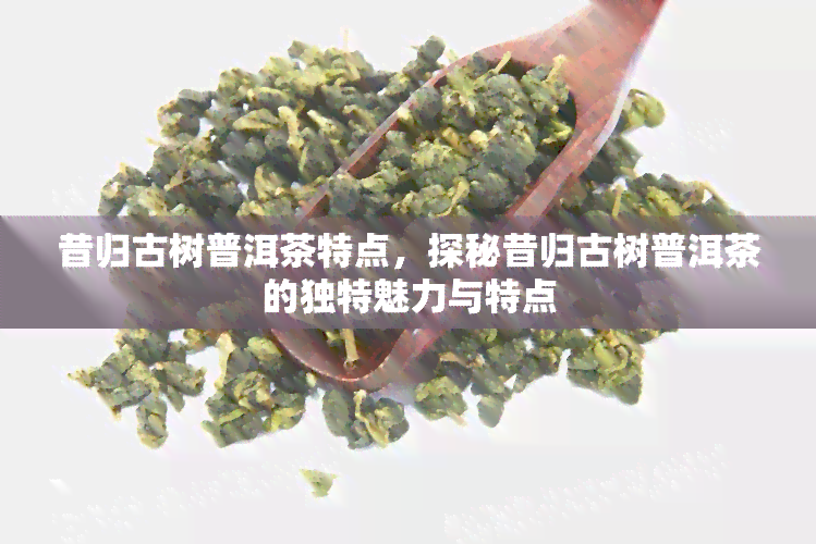 昔归古树普洱茶特点，探秘昔归古树普洱茶的独特魅力与特点