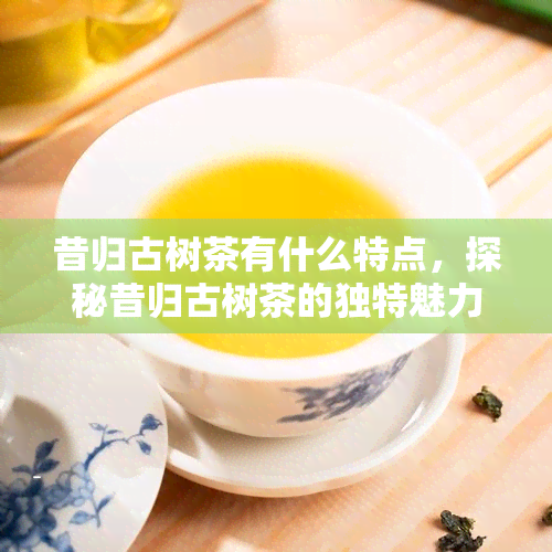 昔归古树茶有什么特点，探秘昔归古树茶的独特魅力与特点