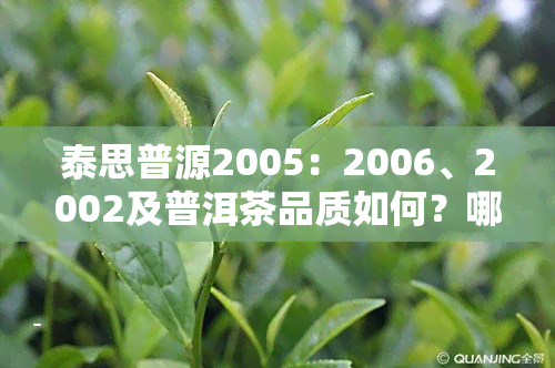 泰思普源2005：2006、2002及普洱茶品质如何？哪个年份更佳？