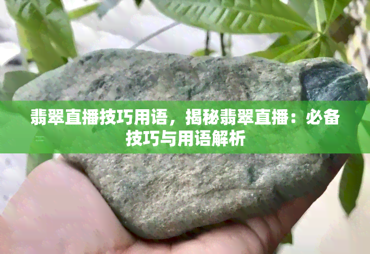 翡翠直播技巧用语，揭秘翡翠直播：必备技巧与用语解析