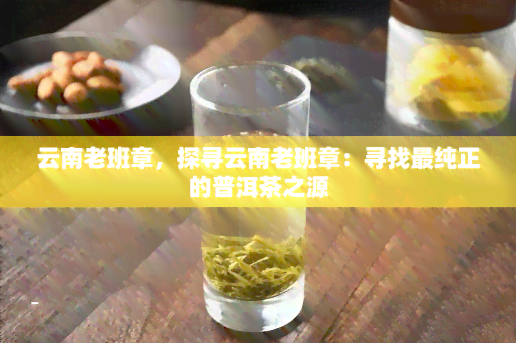 云南老班章，探寻云南老班章：寻找最纯正的普洱茶之源