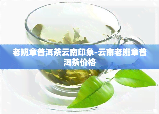 老班章普洱茶云南印象-云南老班章普洱茶价格