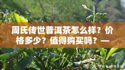 周氏传世普洱茶怎么样？价格多少？值得购买吗？——来自云南普洱市周氏普洱茶业的产品介绍