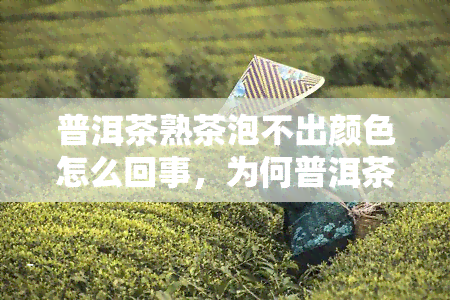 普洱茶熟茶泡不出颜色怎么回事，为何普洱茶熟茶泡不出颜色？原因解析