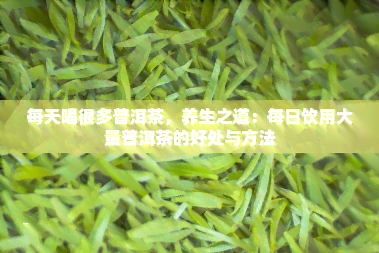 每天喝很多普洱茶，养生之道：每日饮用大量普洱茶的好处与方法