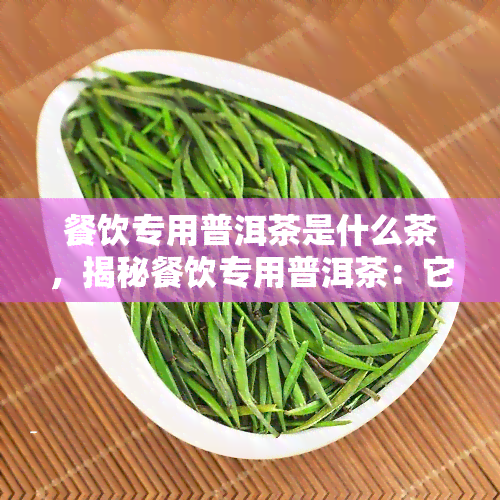 餐饮专用普洱茶是什么茶，揭秘餐饮专用普洱茶：它到底是一种什么茶？