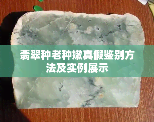 翡翠种老种嫩真假鉴别方法及实例展示