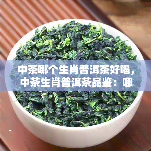 中茶哪个生肖普洱茶好喝，中茶生肖普洱茶品鉴：哪些口感更胜一筹？