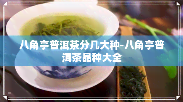 八角亭普洱茶分几大种-八角亭普洱茶品种大全