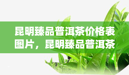 昆明臻品普洱茶价格表图片，昆明臻品普洱茶价格表图片 | 了解普洱茶的价格与品质