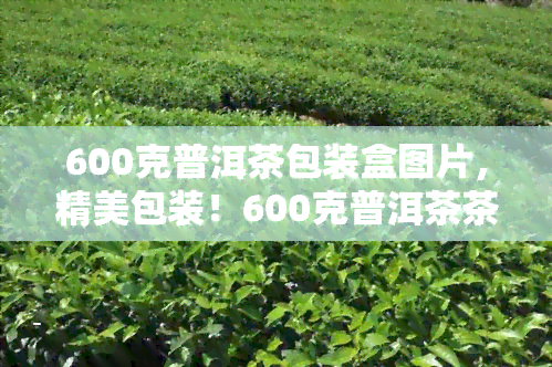 600克普洱茶包装盒图片，精美包装！600克普洱茶茶叶盒图片欣