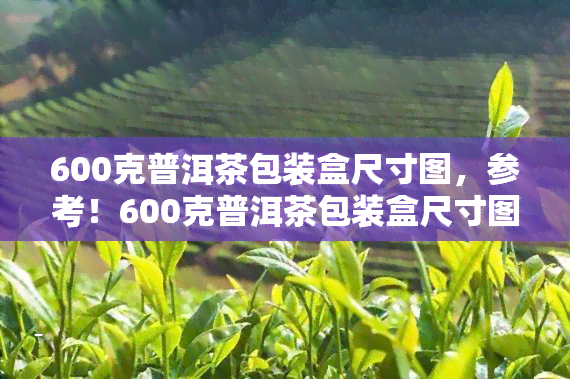 600克普洱茶包装盒尺寸图，参考！600克普洱茶包装盒尺寸图，帮助你选择合适的茶叶包装