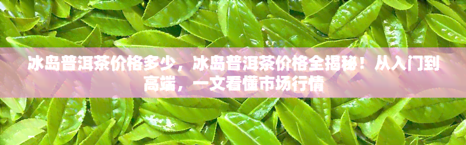 冰岛普洱茶价格多少，冰岛普洱茶价格全揭秘！从入门到高端，一文看懂市场行情