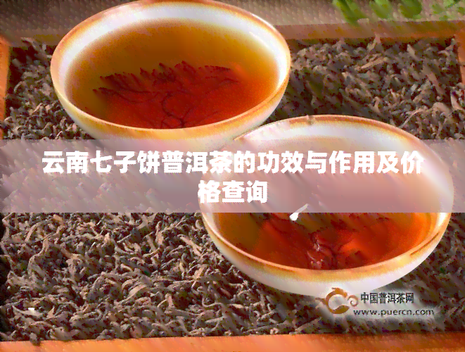 云南七子饼普洱茶的功效与作用及价格查询