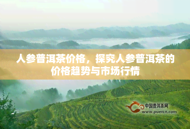 人参普洱茶价格，探究人参普洱茶的价格趋势与市场行情