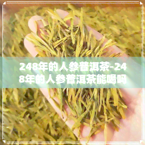 248年的人参普洱茶-248年的人参普洱茶能喝吗