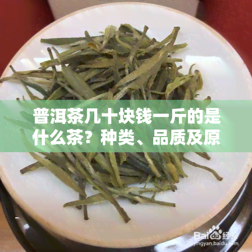 普洱茶几十块钱一斤的是什么茶？种类、品质及原料来源解析