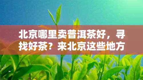 北京哪里卖普洱茶好，寻找好茶？来北京这些地方买普洱茶！