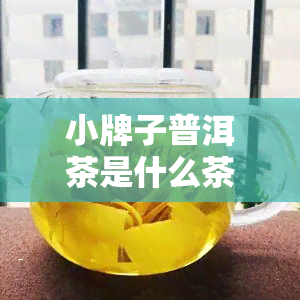 小牌子普洱茶是什么茶？推荐精品小，普洱茶也有小众佳品