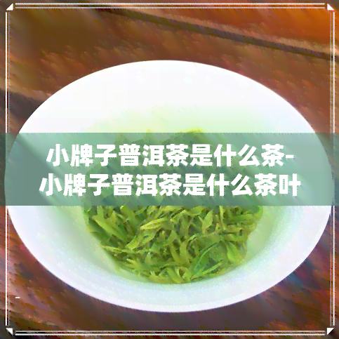 小牌子普洱茶是什么茶-小牌子普洱茶是什么茶叶