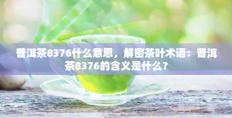 普洱茶8376什么意思，解密茶叶术语：普洱茶8376的含义是什么？