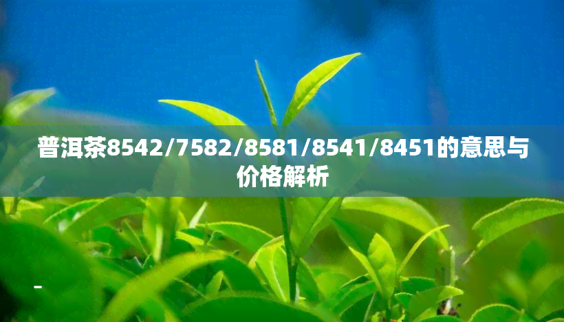 普洱茶8542/7582/8581/8541/8451的意思与价格解析