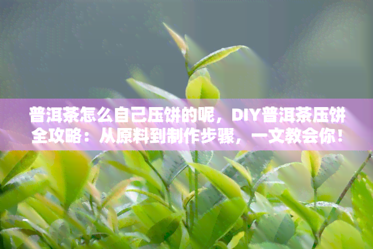 普洱茶怎么自己压饼的呢，DIY普洱茶压饼全攻略：从原料到制作步骤，一文教会你！