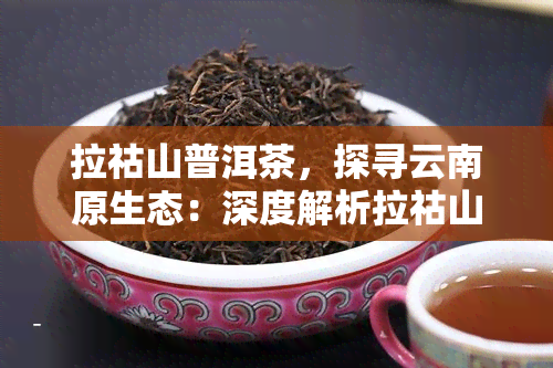 拉祜山普洱茶，探寻云南原生态：深度解析拉祜山普洱茶的魅力