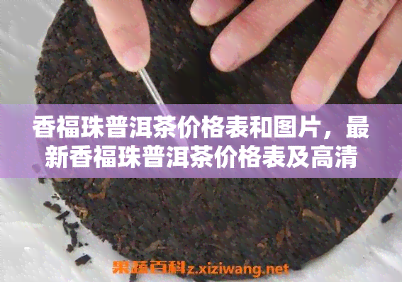 香福珠普洱茶价格表和图片，最新香福珠普洱茶价格表及高清图片全览