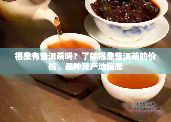 福鼎有普洱茶吗？了解福鼎普洱茶的价格、品种及产地信息