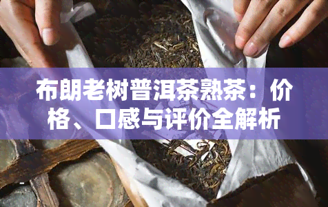 布朗老树普洱茶熟茶：价格、口感与评价全解析