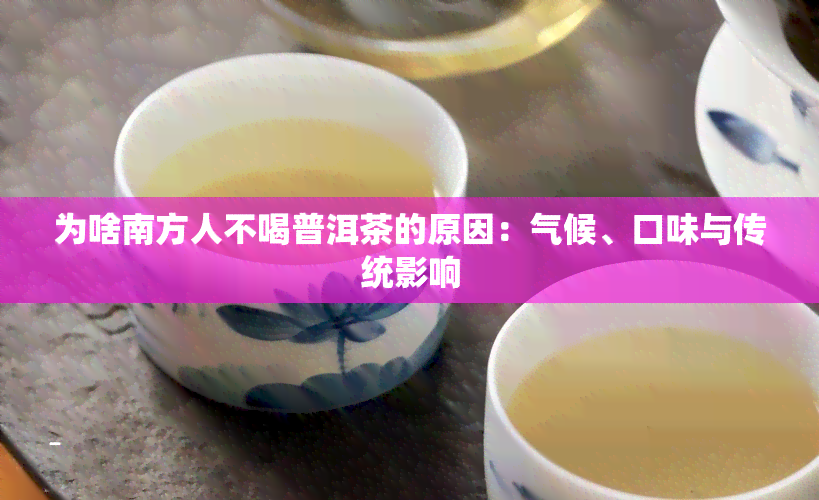 为啥南方人不喝普洱茶的原因：气候、口味与传统影响