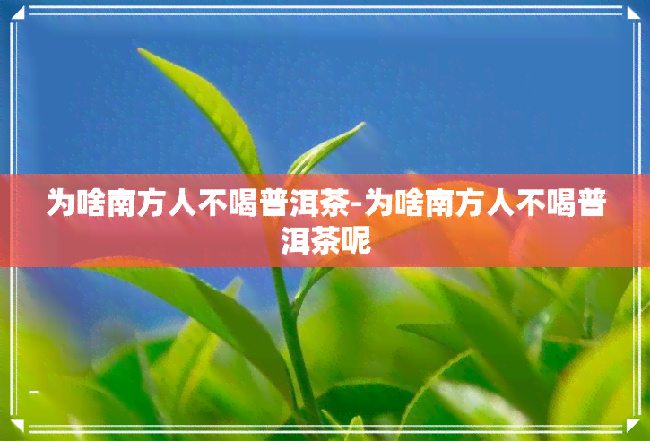 为啥南方人不喝普洱茶-为啥南方人不喝普洱茶呢