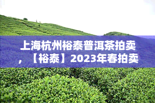 上海杭州裕泰普洱茶拍卖，【裕泰】2023年春拍卖会，上海杭州两地联袂呈现！