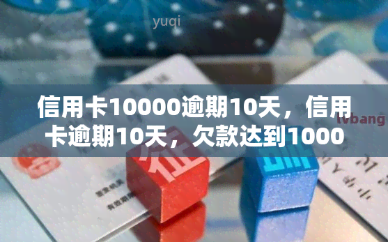 信用卡10000逾期10天，信用卡逾期10天，欠款达到10000元