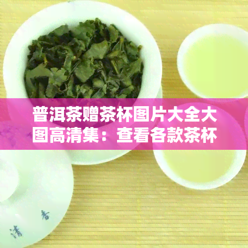 普洱茶赠茶杯图片大全大图高清集：查看各款茶杯价格与图片