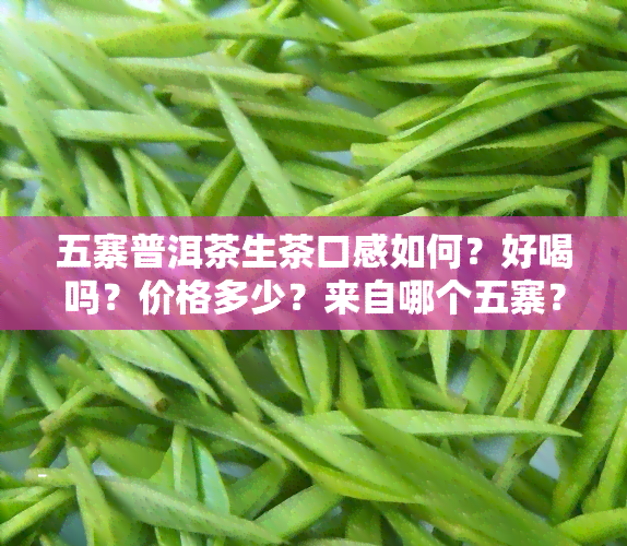 五寨普洱茶生茶口感如何？好喝吗？价格多少？来自哪个五寨？视频解析！