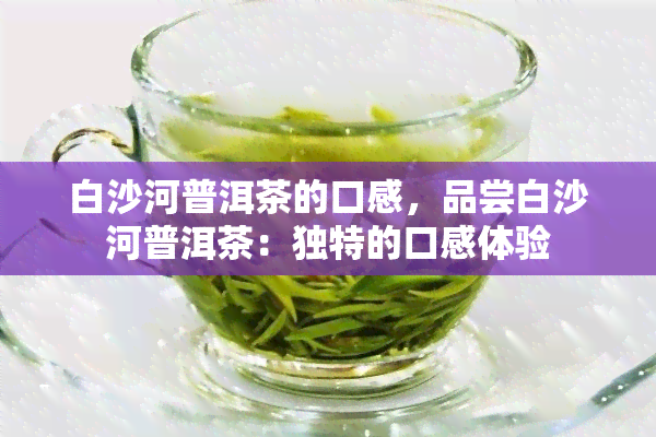 白沙河普洱茶的口感，品尝白沙河普洱茶：独特的口感体验