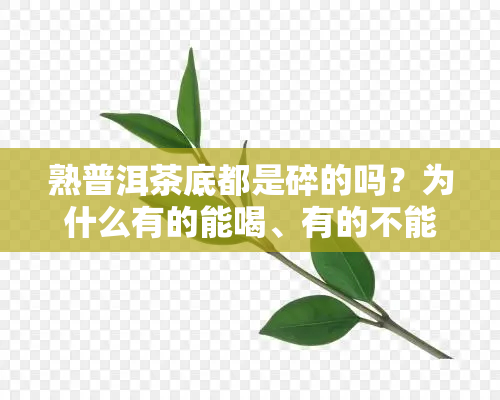 熟普洱茶底都是碎的吗？为什么有的能喝、有的不能喝，还有的碎小？揭秘普洱茶熟茶叶底