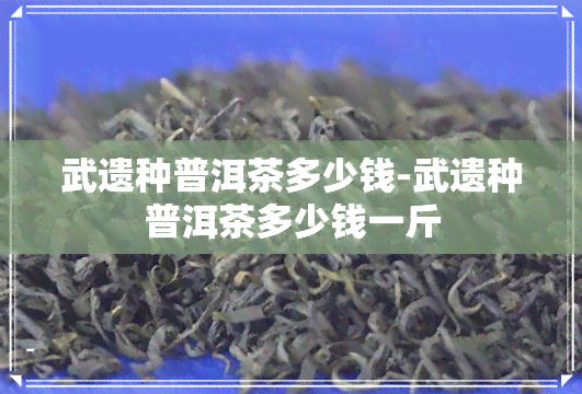 武遗种普洱茶多少钱-武遗种普洱茶多少钱一斤